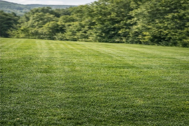 Detailne pokosený a upravený trávnik na Orave po zásahu profesionálnou technikou.